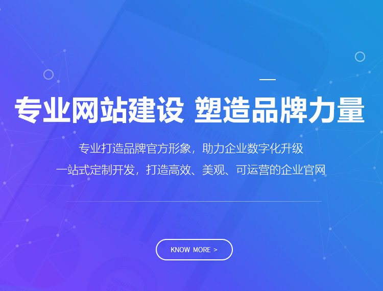 无锡建站-专业网站建设 塑造品牌力量